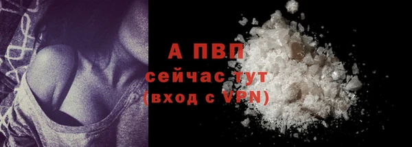 амф Арсеньев
