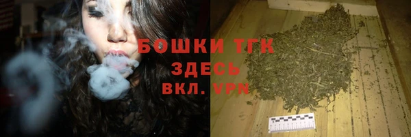 гашик Аркадак