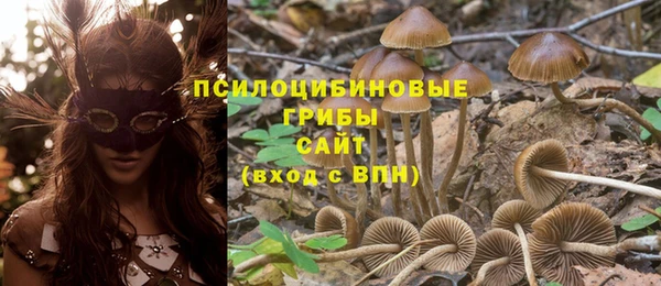 твердый Армянск
