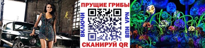 даркнет сайт Кирово-Чепецк блэк спрут как войти Галлюциногенные грибы Magic Shrooms