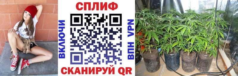 МЕГА ссылки  Кирово-Чепецк  Конопля гибрид  как найти наркотики 